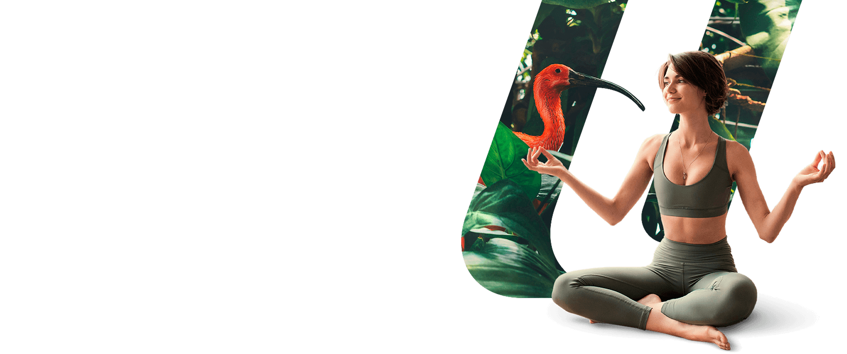 Pro Balance